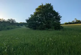 Land For Sale, Agricultural, Orbeti 