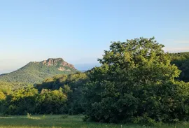 Land For Sale, Agricultural, Orbeti 