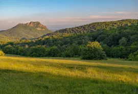 Land For Sale, Agricultural, Orbeti 