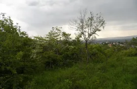 იყიდება მიწის ნაკვეთი, სასოფლო - სამეურნეო, საგარეჯო
