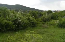 იყიდება მიწის ნაკვეთი, სასოფლო - სამეურნეო, საგარეჯო