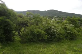იყიდება მიწის ნაკვეთი, სასოფლო - სამეურნეო, საგარეჯო