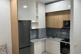 Аренда, 3 Kомнатная, Новостройка, Тбилиси, Диди Дигоми