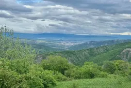 იყიდება მიწის ნაკვეთი, არა სასოფლო - სამეურნეო, კვესეთი