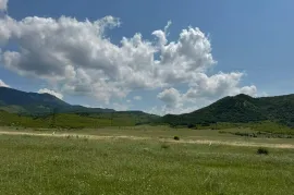 იყიდება მიწის ნაკვეთი, საგურამო