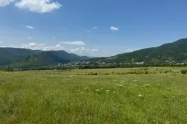 იყიდება მიწის ნაკვეთი, საგურამო