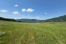 იყიდება მიწის ნაკვეთი, საგურამო