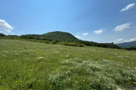 იყიდება მიწის ნაკვეთი, საგურამო