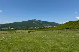 იყიდება მიწის ნაკვეთი, საგურამო