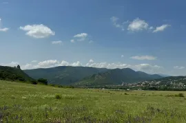 იყიდება მიწის ნაკვეთი, საგურამო