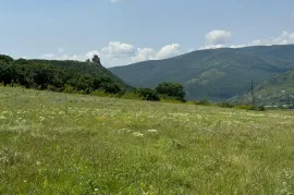 იყიდება მიწის ნაკვეთი, საგურამო
