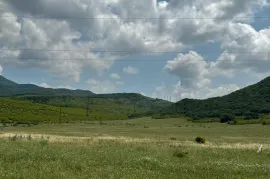 იყიდება მიწის ნაკვეთი, საგურამო