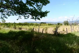 Land For Sale, Agricultural, Aghaiani