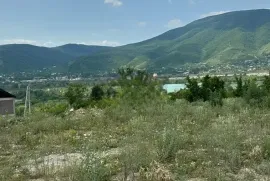 House For Sale, 5 Room, Dusheti , Choporti