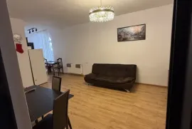 Apartment for sale, 2 Room, Old building, Borjomi , Bakuriani