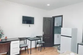 Apartment for sale, 1 Room, Old building, Borjomi , Bakuriani