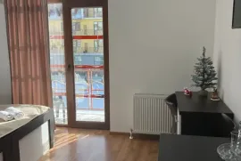 Apartment for sale, 1 Room, Old building, Borjomi , Bakuriani