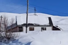 იყიდება მიწის ნაკვეთი, სასოფლო - სამეურნეო, გუდაური