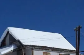 იყიდება მიწის ნაკვეთი, სასოფლო - სამეურნეო, გუდაური