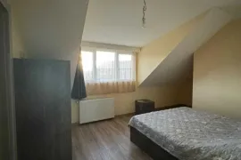 იყიდება სახლი, 3 ოთახიანი, ბორჯომი, ბაკურიანი