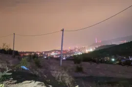 Продается Земля, Сельскохозяйственные, Лиси