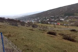 Продается Земля, Сельскохозяйственные, Лиси