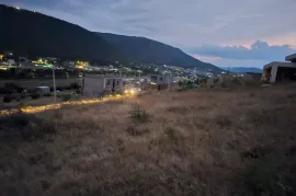 Продается Земля, Сельскохозяйственные, Лиси