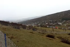 Продается Земля, Сельскохозяйственные, Лиси