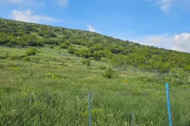 Продается Земля, Сельскохозяйственные, Лиси