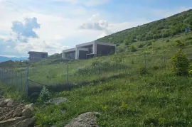 იყიდება მიწის ნაკვეთი, სასოფლო - სამეურნეო, ლისი