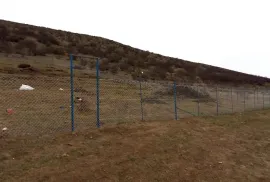 Продается Земля, Сельскохозяйственные, Лиси
