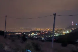Продается Земля, Сельскохозяйственные, Лиси
