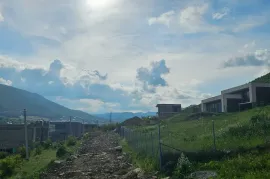 Продается Земля, Сельскохозяйственные, Лиси