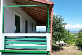 Продается Дом, 8 Kомнатная, Гурджаани