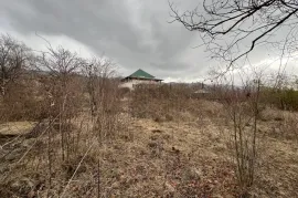 იყიდება მიწის ნაკვეთი, სასოფლო - სამეურნეო, ბულაჩაური