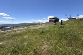 იყიდება მიწის ნაკვეთი, არა სასოფლო - სამეურნეო, ლისის ტბა