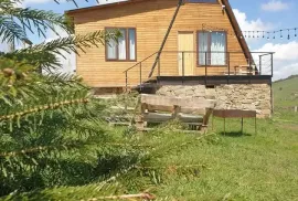 Продается Дом, 3 Kомнатная, Тетрицкаро район, Orbeti 