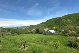 იყიდება მიწის ნაკვეთი, ქვემო ნიჩბისი