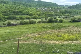 იყიდება მიწის ნაკვეთი, სასოფლო - სამეურნეო, უჯარმა