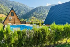 ქირავდება სახლი დღიურად, 3 ოთახიანი, ბორჯომი, სადგერი