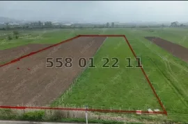 იყიდება მიწის ნაკვეთი, კომერციული, წილკანი