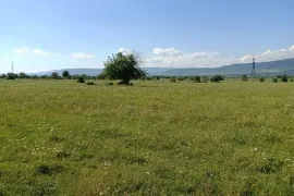 იყიდება მიწის ნაკვეთი, სასოფლო - სამეურნეო, წეროვანი
