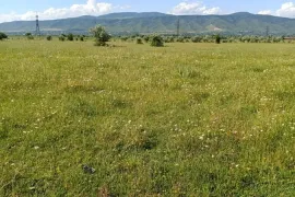 იყიდება მიწის ნაკვეთი, სასოფლო - სამეურნეო, წეროვანი
