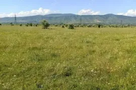 Продается Земля, Сельскохозяйственные, Tserovani