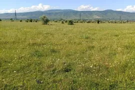 იყიდება მიწის ნაკვეთი, სასოფლო - სამეურნეო, წეროვანი