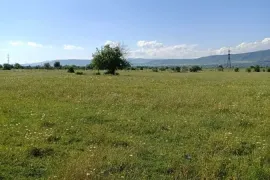 იყიდება მიწის ნაკვეთი, სასოფლო - სამეურნეო, წეროვანი