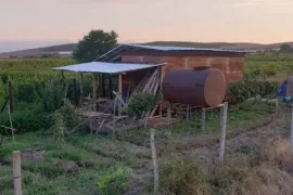 იყიდება მიწის ნაკვეთი, ძალისი