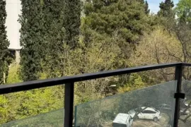 ქირავდება ბინა, 3 ოთახიანი, ახალი აშენებული, თბილისი, ისანი