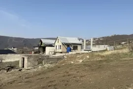 იყიდება მიწის ნაკვეთი, სასოფლო - სამეურნეო, ნაფეტვრები