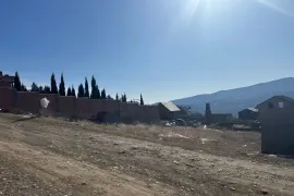 იყიდება მიწის ნაკვეთი, სასოფლო - სამეურნეო, ნაფეტვრები
